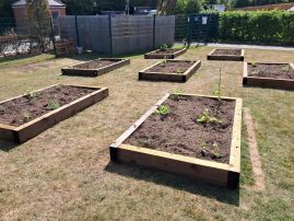 garden begins