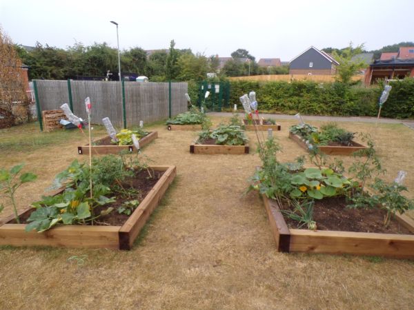 Whole garden