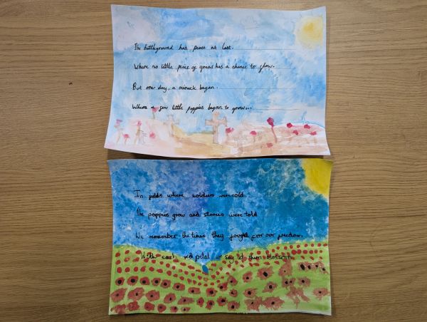 PXL 20251111 111109276 1