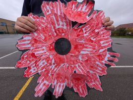 PXL 20251111 110620760