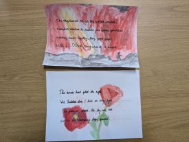 PXL 20251111 111055666