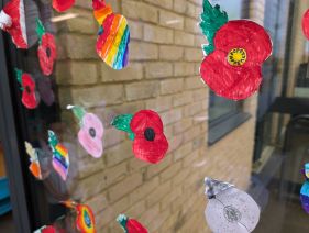 PXL 20251111 110924701