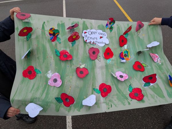 PXL 20251111 110415490